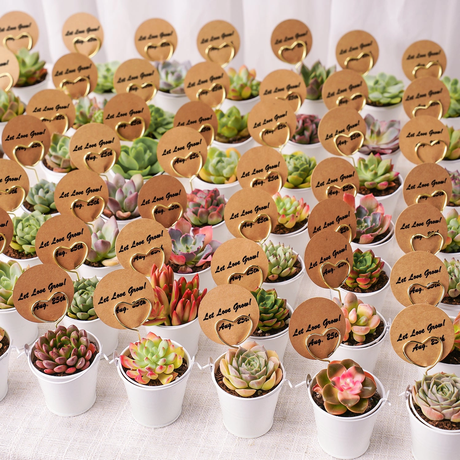 Elegant White Metal Buckets Succulent Favors (Tag Custom Supported)