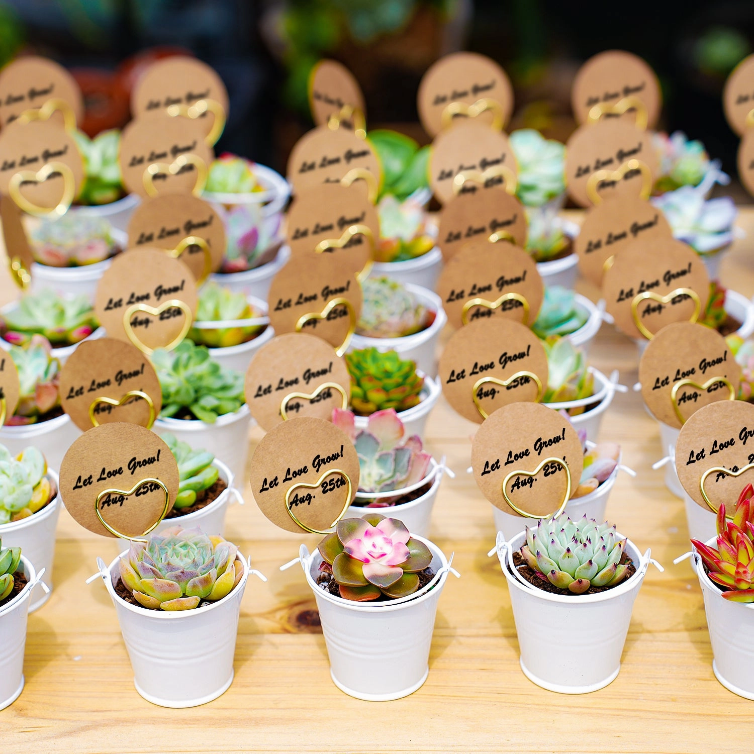 Elegant White Metal Buckets Succulent Favors (Tag Custom Supported)