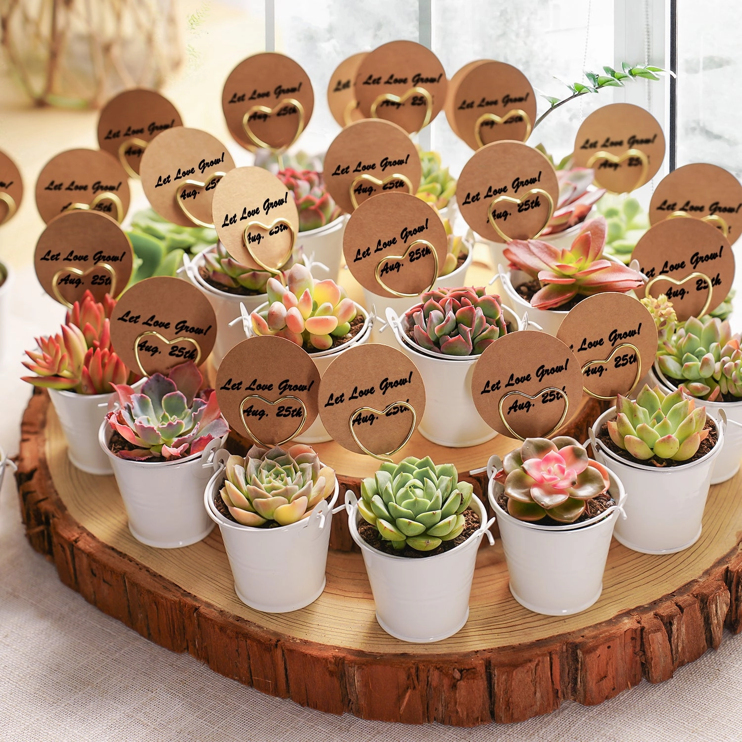 Elegant White Metal Buckets Succulent Favors (Tag Custom Supported)