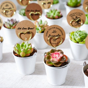 Elegant White Metal Buckets Succulent Favors (Tag Custom Supported) mini ornamental plant  