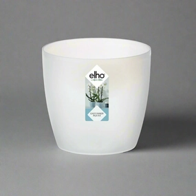 Elho Brussels Orchid Pot Transparent plant seeds  
