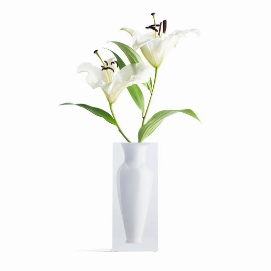 Elizabeth Vase - Hamptons White mini ornamental plant  