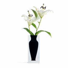 Elizabeth Vase - Soho Black mini ornamental plant  