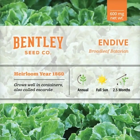Endive-Broadleaf Batavian Seed Packet floating plant shelf  