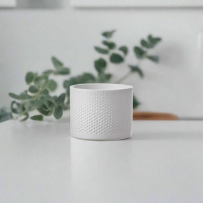 Era Pot Round White Mini plant seeds  