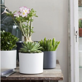 Era Pot Round White plant seeds  