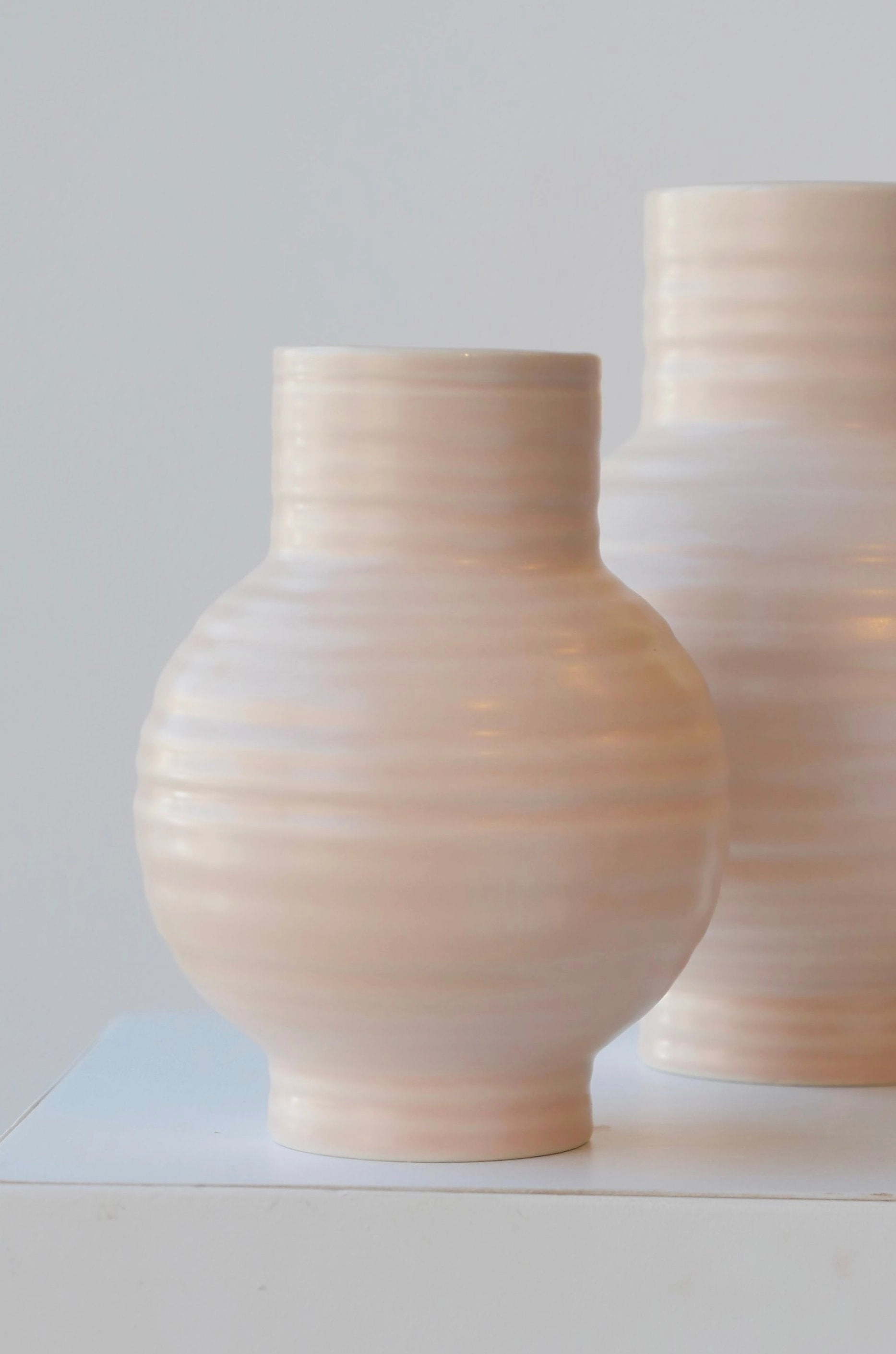 Essential Blush Ceramic Vase Small dried green plant  