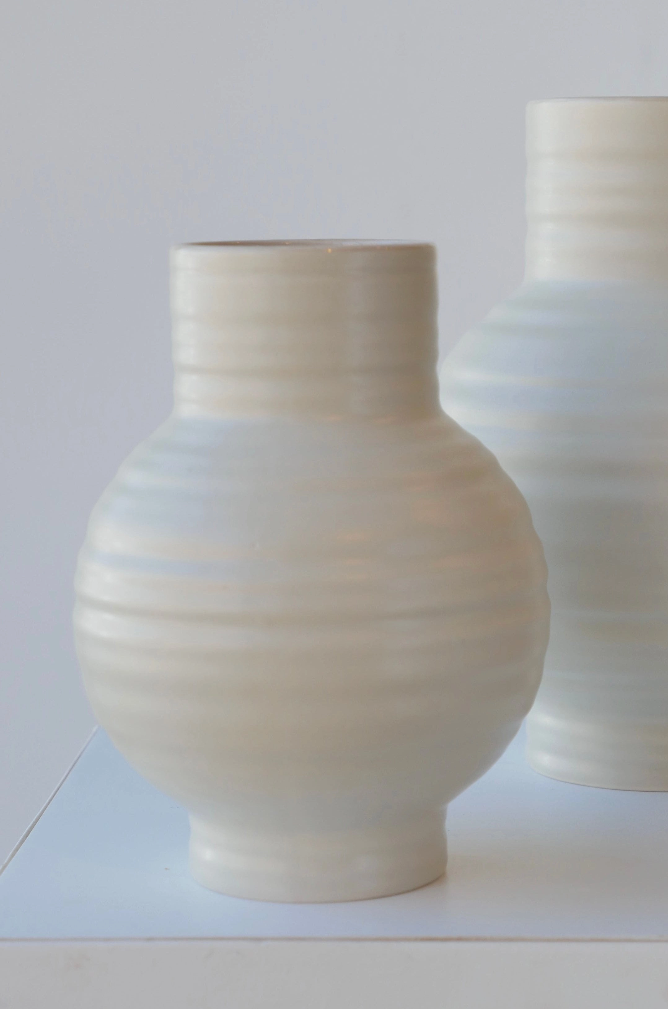 Essential Light Grey Ceramic Vase Small dried green plant  