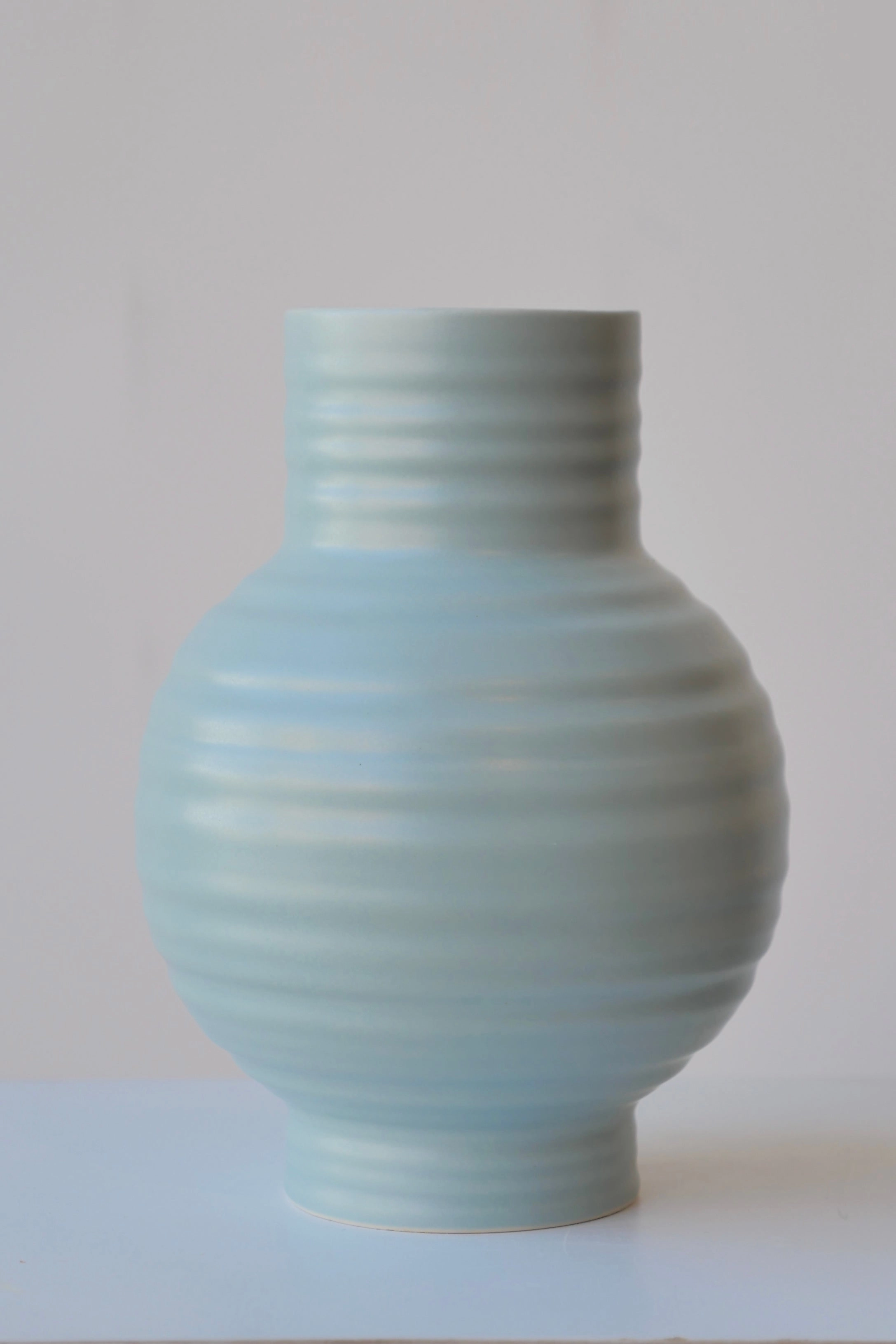 Essential Sky Ceramic Vase Large dried green plant  