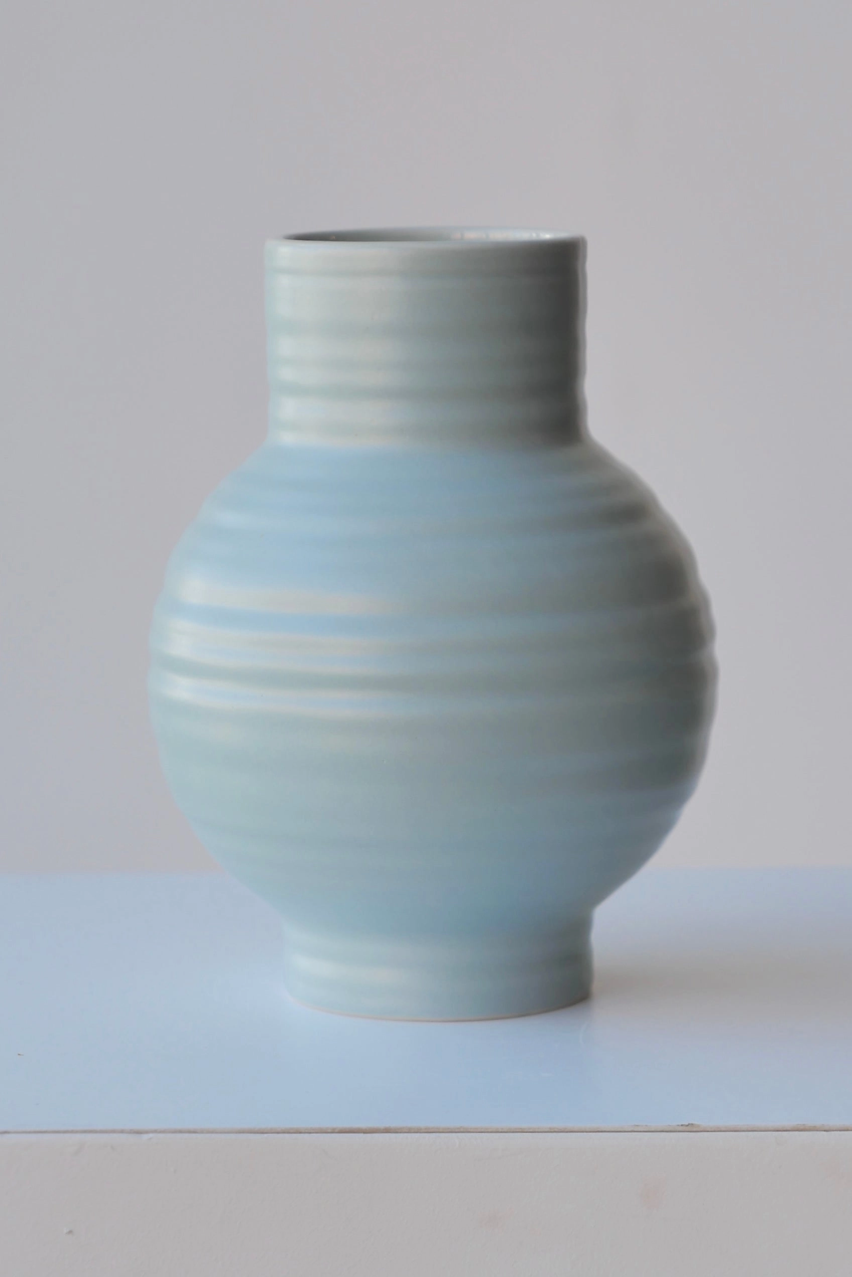 Essential Sky Ceramic Vase Small dried green plant  