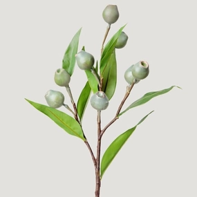 Eucalyptus Green Pod Spray xl flower pot  