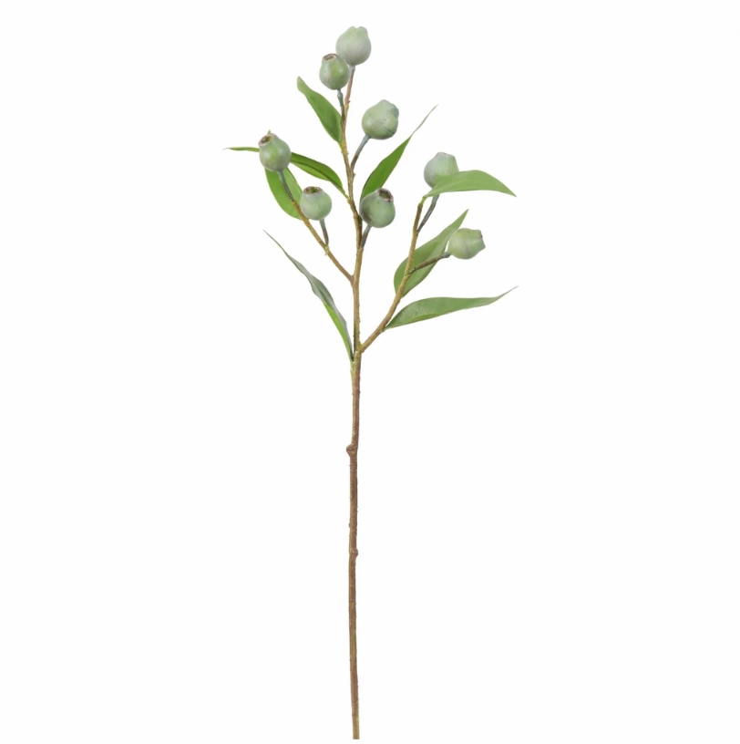 Eucalyptus Green Pod Spray