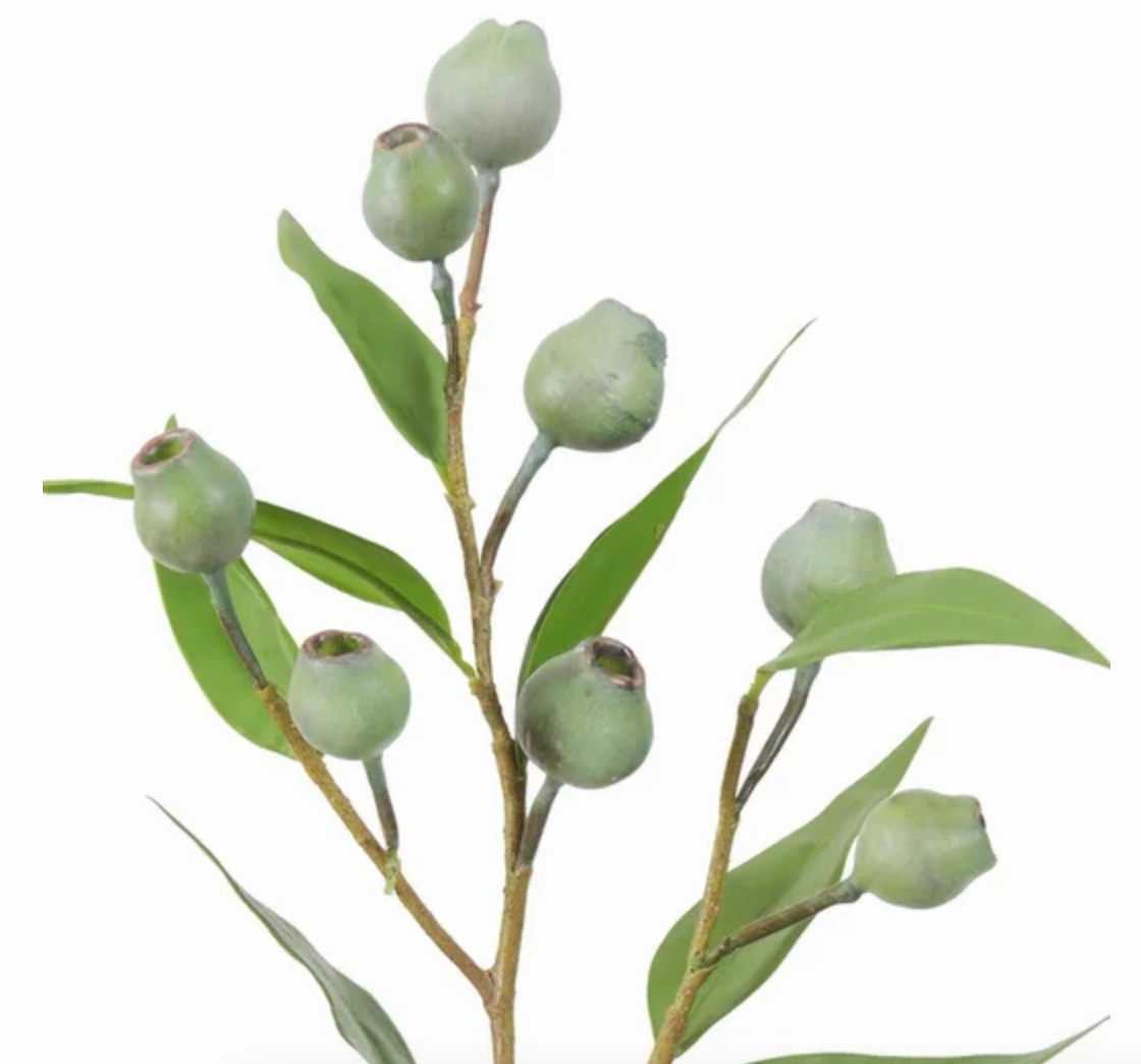 Eucalyptus Green Pod Spray