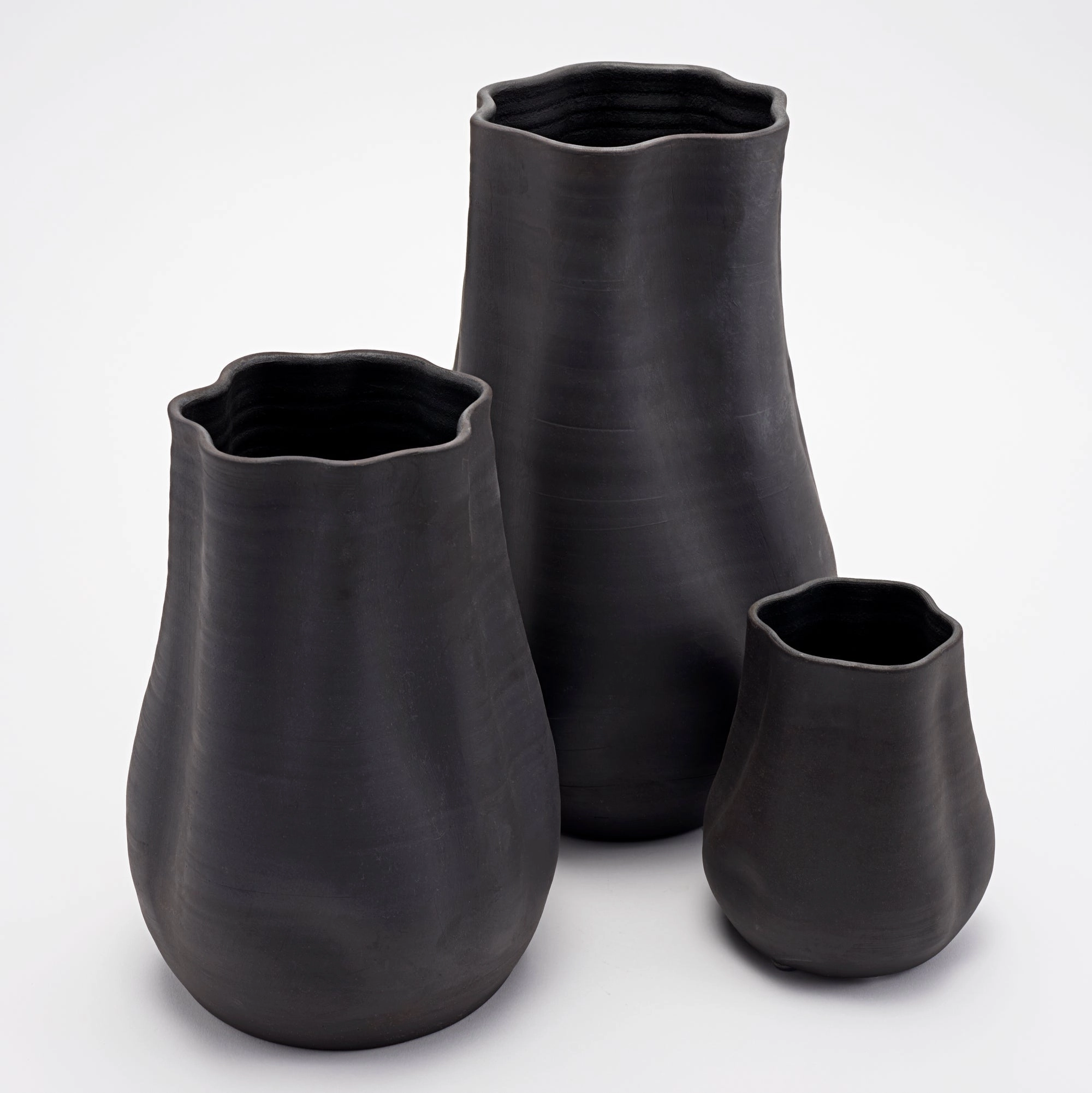 Everly - Vase Raw Noir mini ornamental plant  