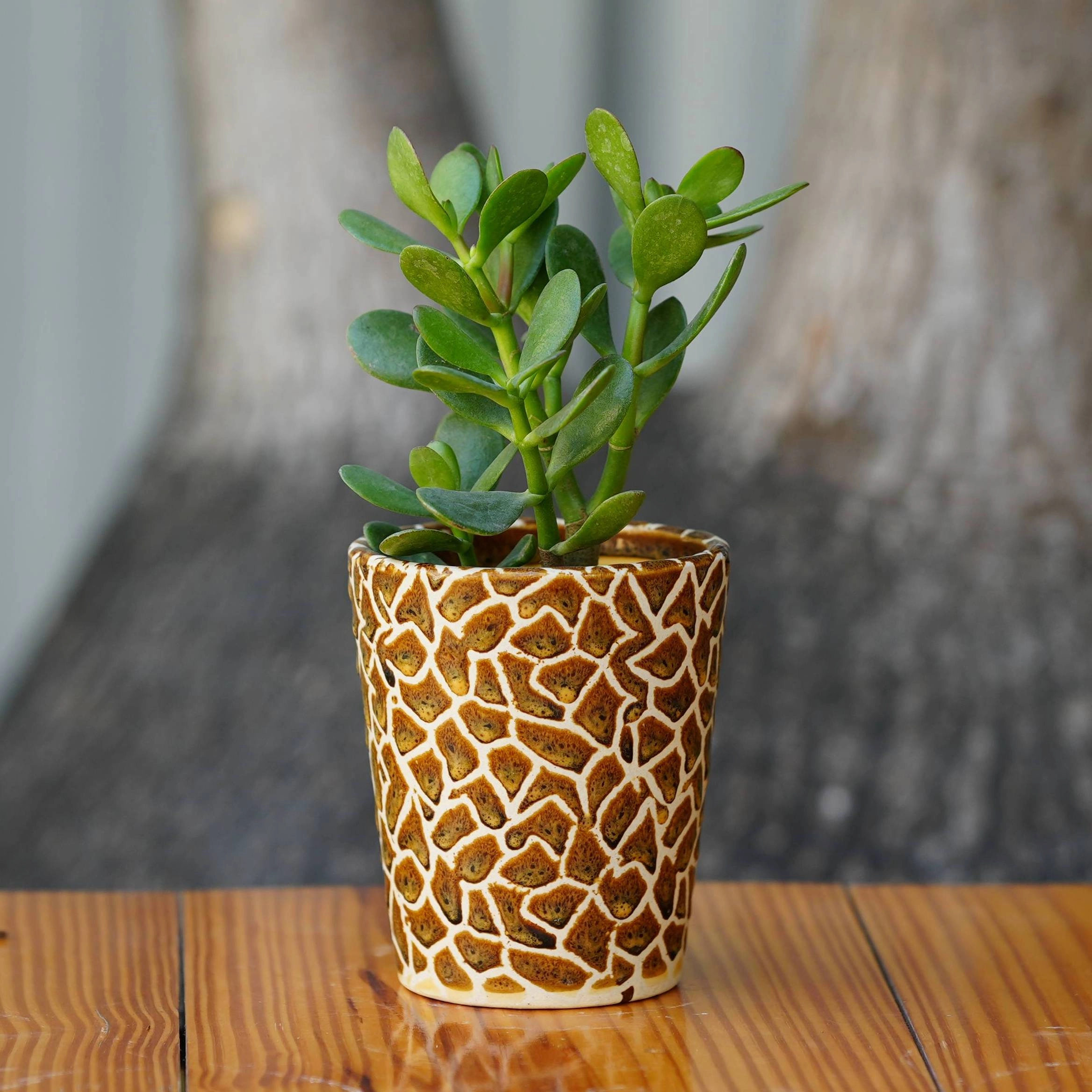 Exotic Giraffe Print Ceramic Pot