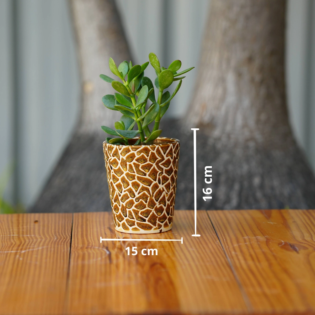 Exotic Giraffe Print Ceramic Pot