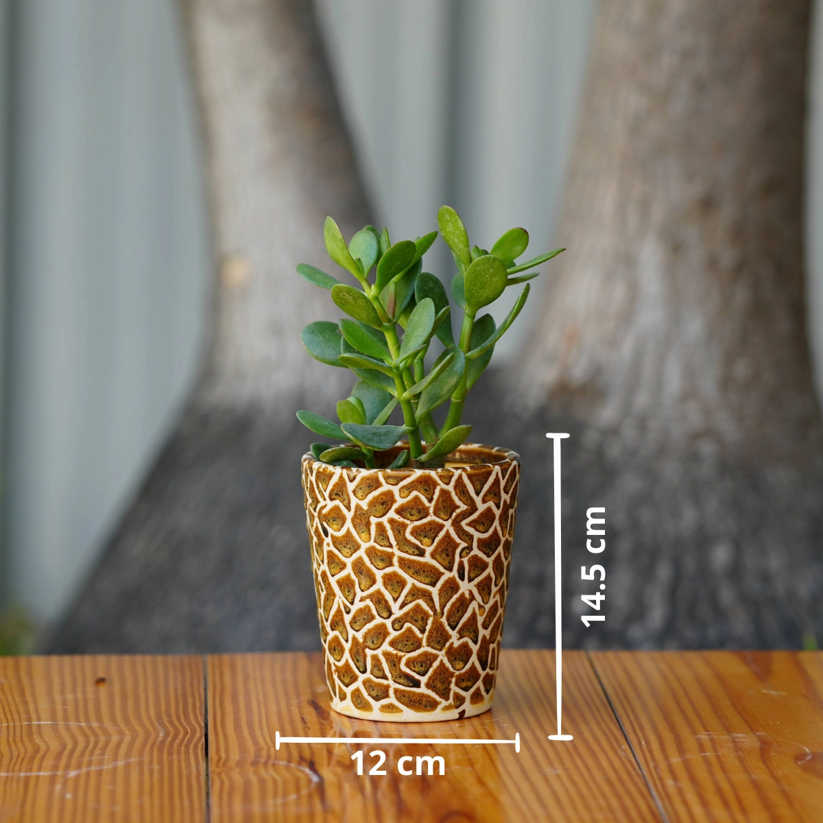 Exotic Giraffe Print Ceramic Pot