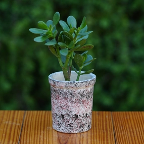 Expressive Splatter Paint Ceramic Planter shade perennial  