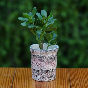 Expressive Splatter Paint Ceramic Planter hanging green plant  