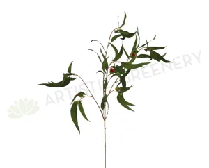 F-ASB-GB10GREEN Gum Blossom / Eucalyptus Branch Green 98cm with Nuts (Real Touch) dried green plant  