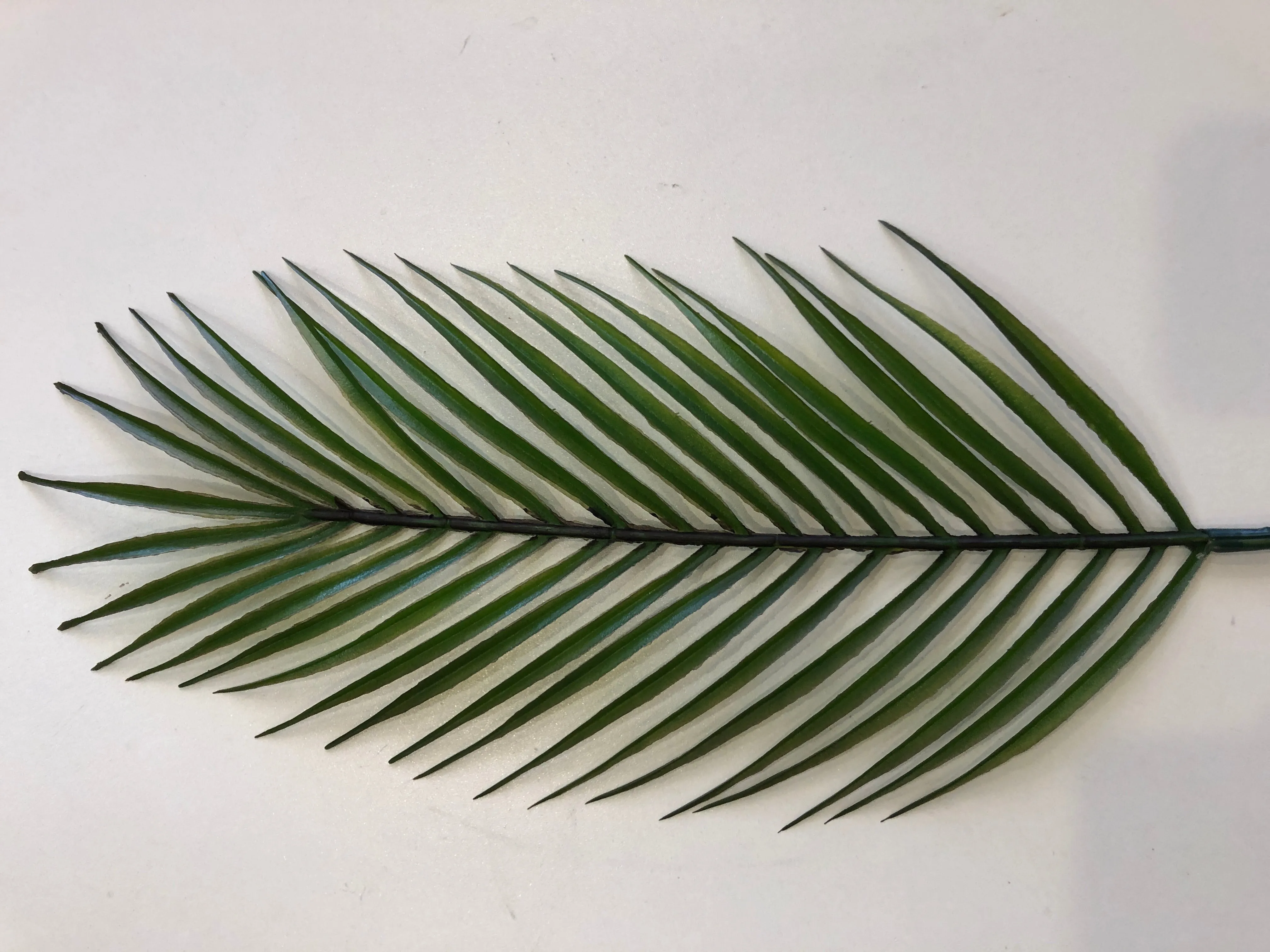 F-RT-5765 Single Palm Leaf 74cm