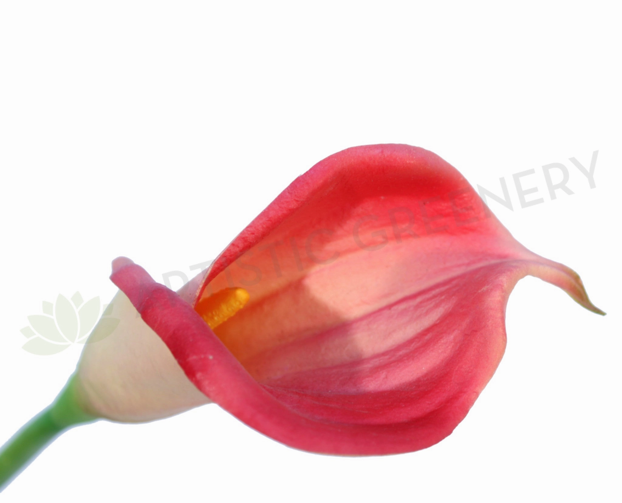 F0008PIN Calla Lily Real Touch (Half Open) 60cm Pink outdoor greenery  