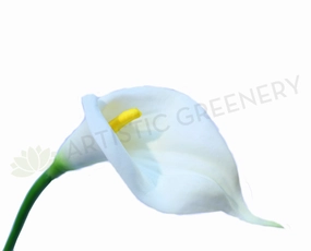 F0008WHI Arum Lily / Calla Lily Real Touch (Open Bloom) 67cm White outdoor greenery  