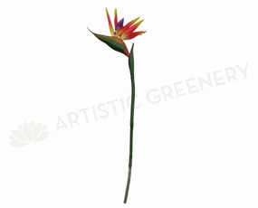 F0009 Bird of Paradise / Strelitzia 90cm outdoor greenery  