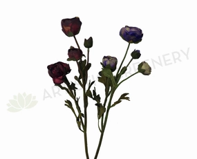 F0017 Ranunculus Spray 52cm Burgundy / Purple outdoor greenery  