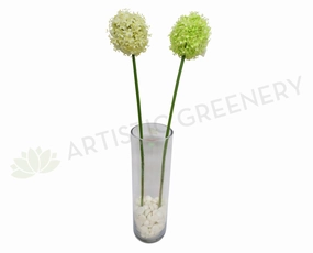 F0031 Allium Single Stem 80cm White / Light Green outdoor greenery  