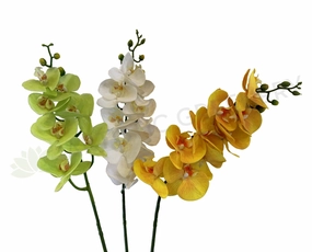 F0034N Phalaenopsis Orchid Spray 91cm Light Green / White / Yellow / Pure White outdoor greenery  