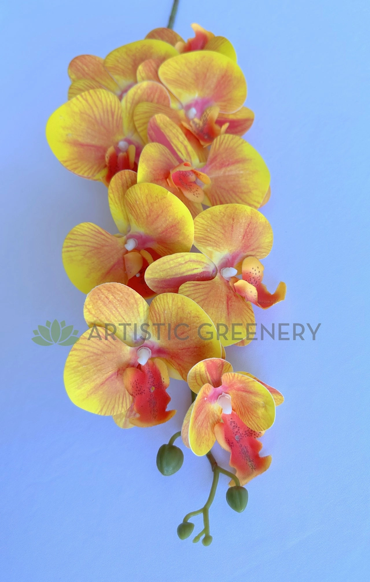 F0034ORA Phalaenopsis Orchid Spray 103cm Orange
