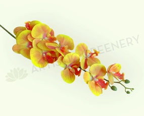 F0034ORA Phalaenopsis Orchid Spray 103cm Orange outdoor greenery  