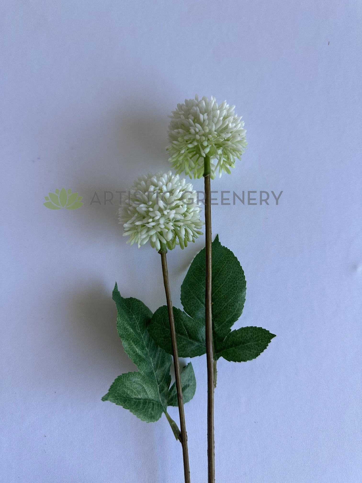 F0040SML Single Allium / Onion Ball Stem 63cm White