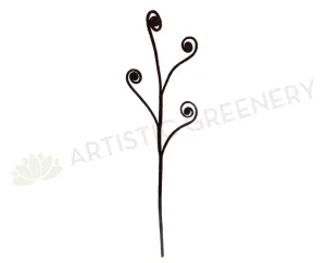 F0042(2) Fiddlehead Fern / Curly Fern Frond 87cm Brown dried green plant  