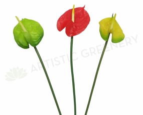 F0046 Anthurium Stem Real Touch 67cm Light Green / Red / Yellow outdoor greenery  
