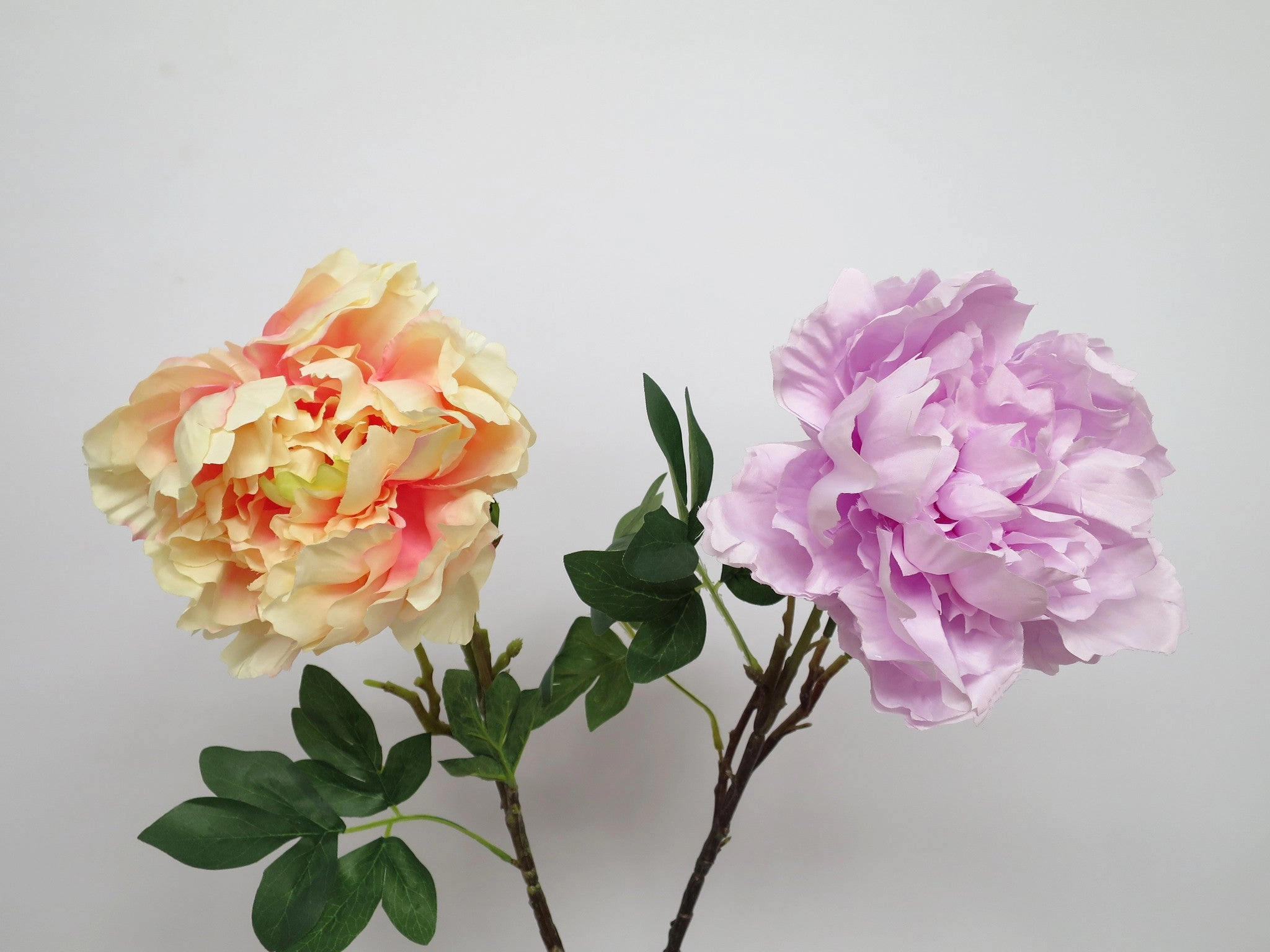 F0055 Peony Single Stem 95cm 3 Colours