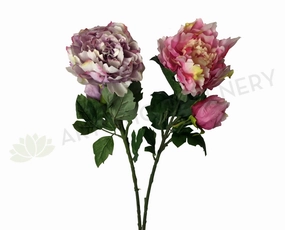 F0055 Peony Single Stem 95cm Mauve / Pink indoor houseplants  