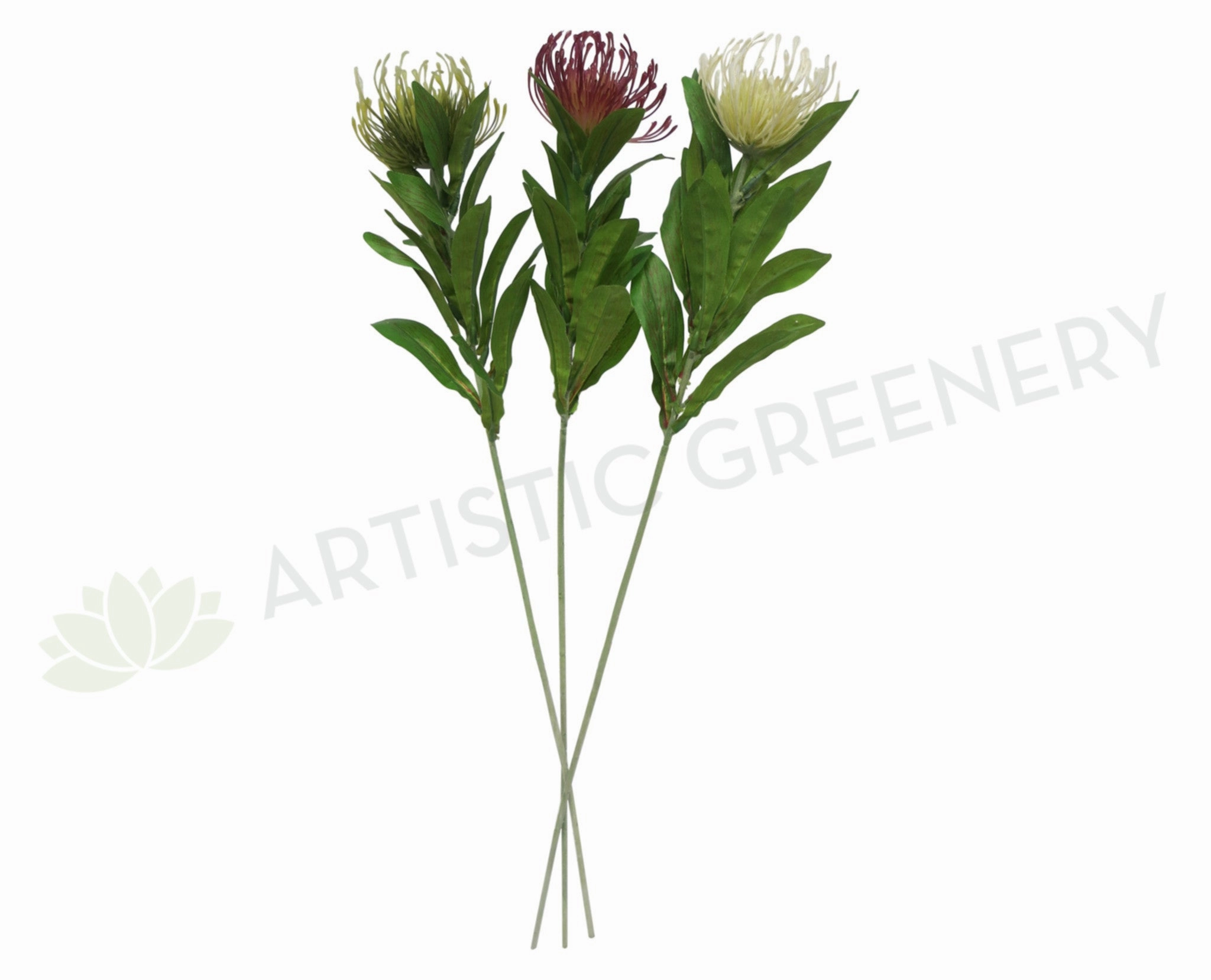 F0067 Protea Pincushion Single Stem 80cm 5 Colours outdoor greenery  