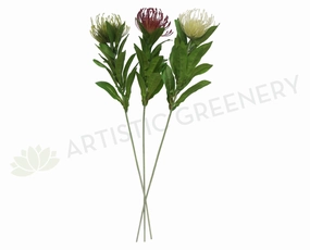 F0067 Protea Pincushion Single Stem 80cm 5 Colours outdoor greenery  