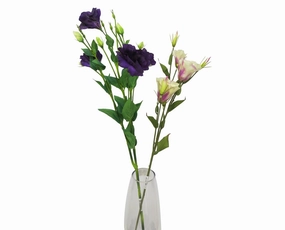 F0087 Lisianthus Spray 80cm 5 Colours outdoor greenery  