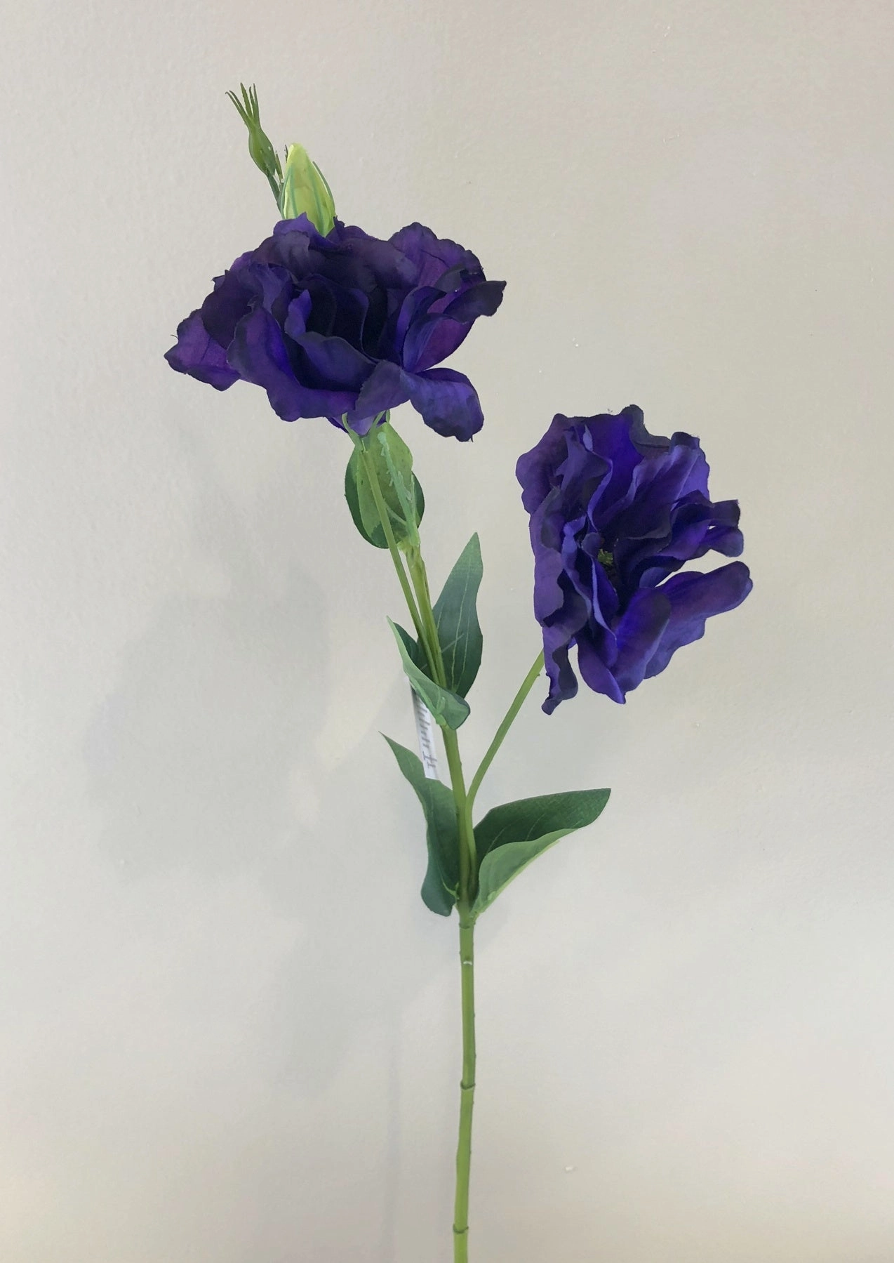 F0087 Lisianthus Spray 80cm 5 Colours