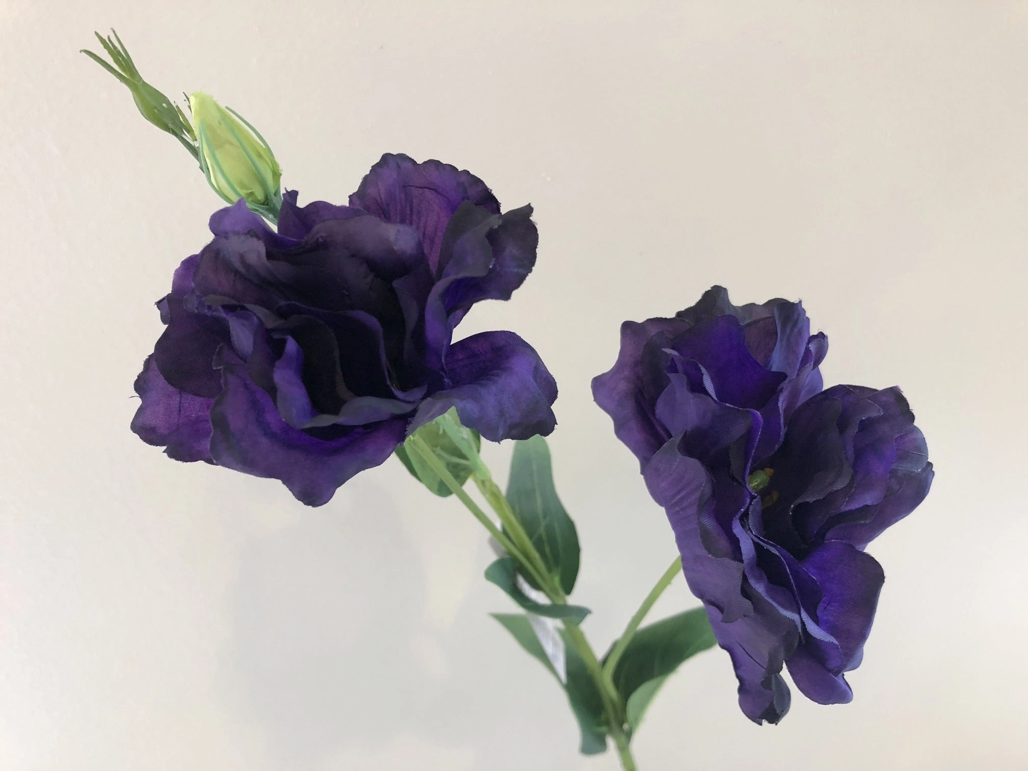 F0087 Lisianthus Spray 80cm 5 Colours