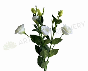 F0087L Lisianthus Spray 76cm White outdoor greenery  