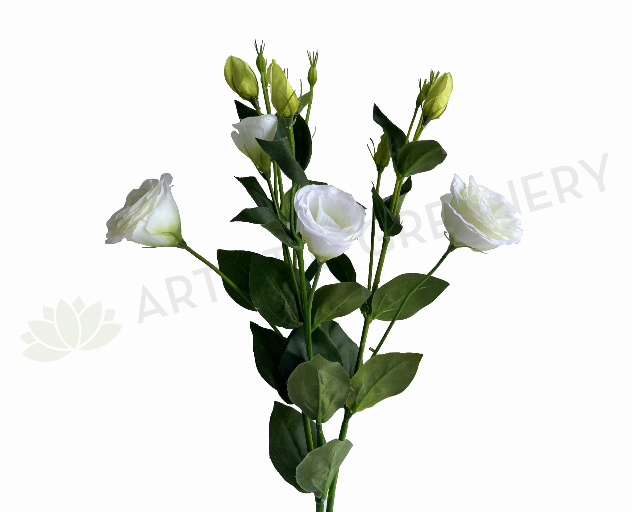 F0087L Lisianthus Spray 76cm White outdoor greenery  