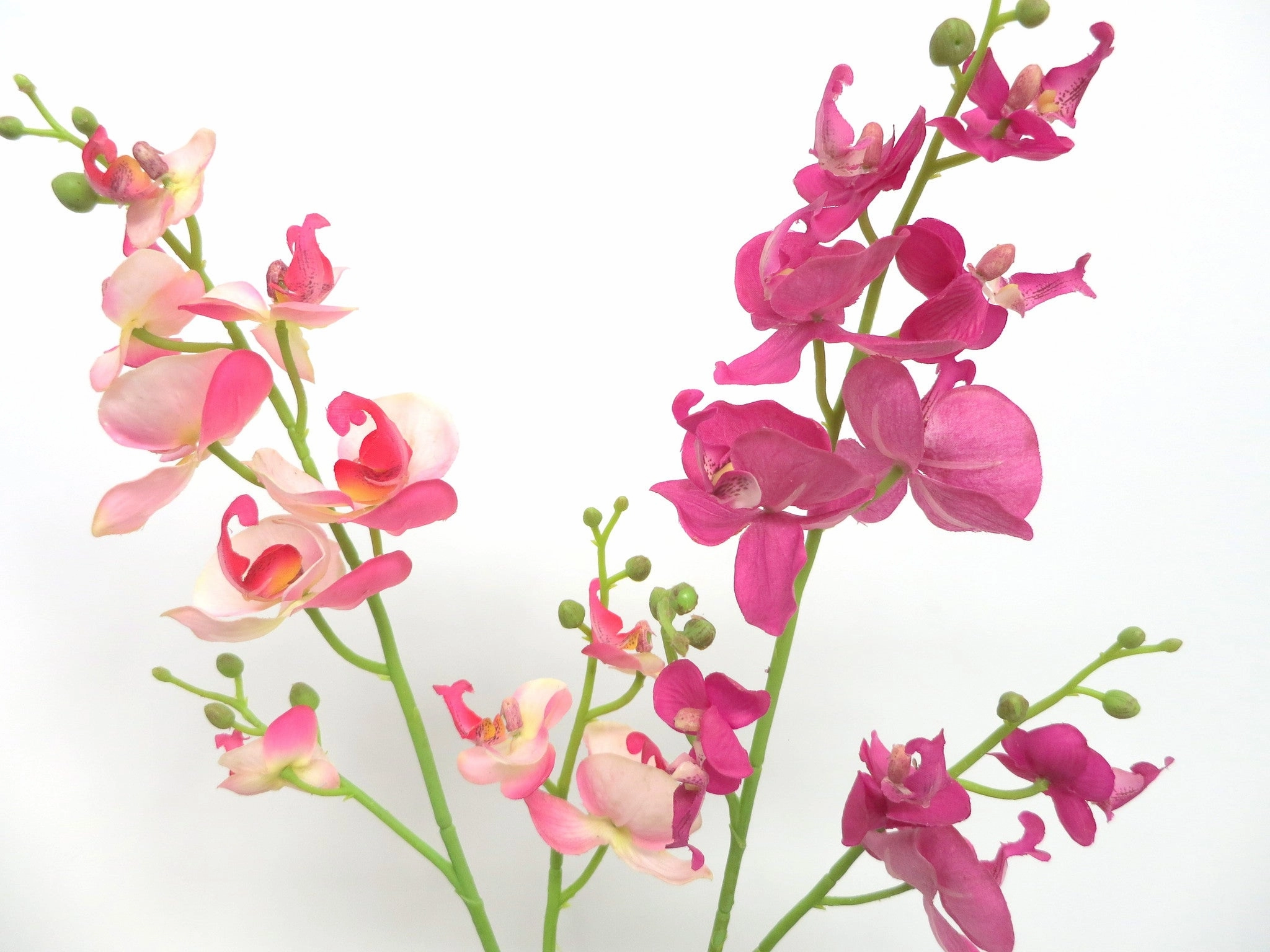 F0089NEW Small Phalaenopsis Orchid Spray Real Touch 70cm Dark Pink / Light Pink