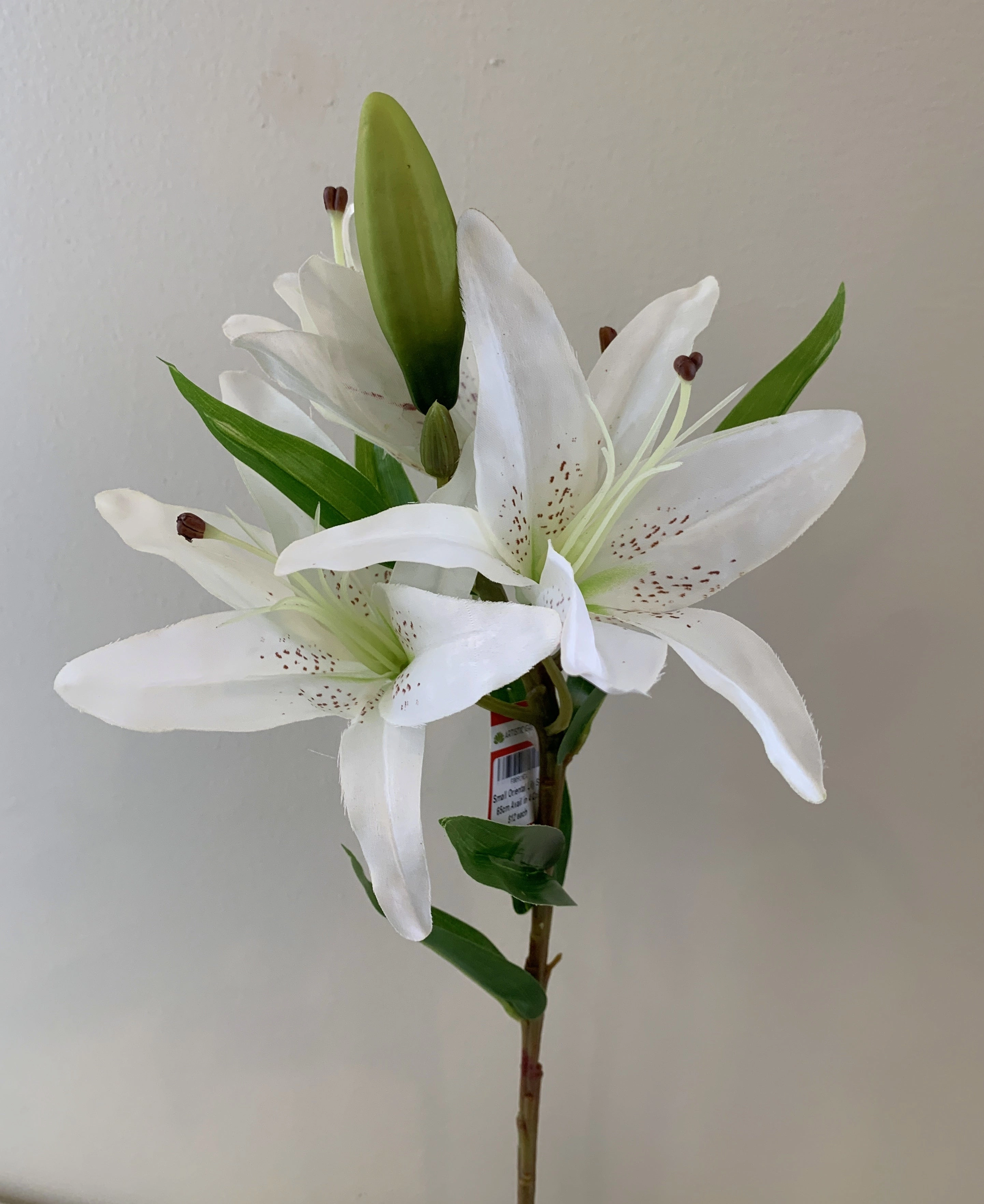 F0091 Oriental Lily Spray 65cm 5 Colours