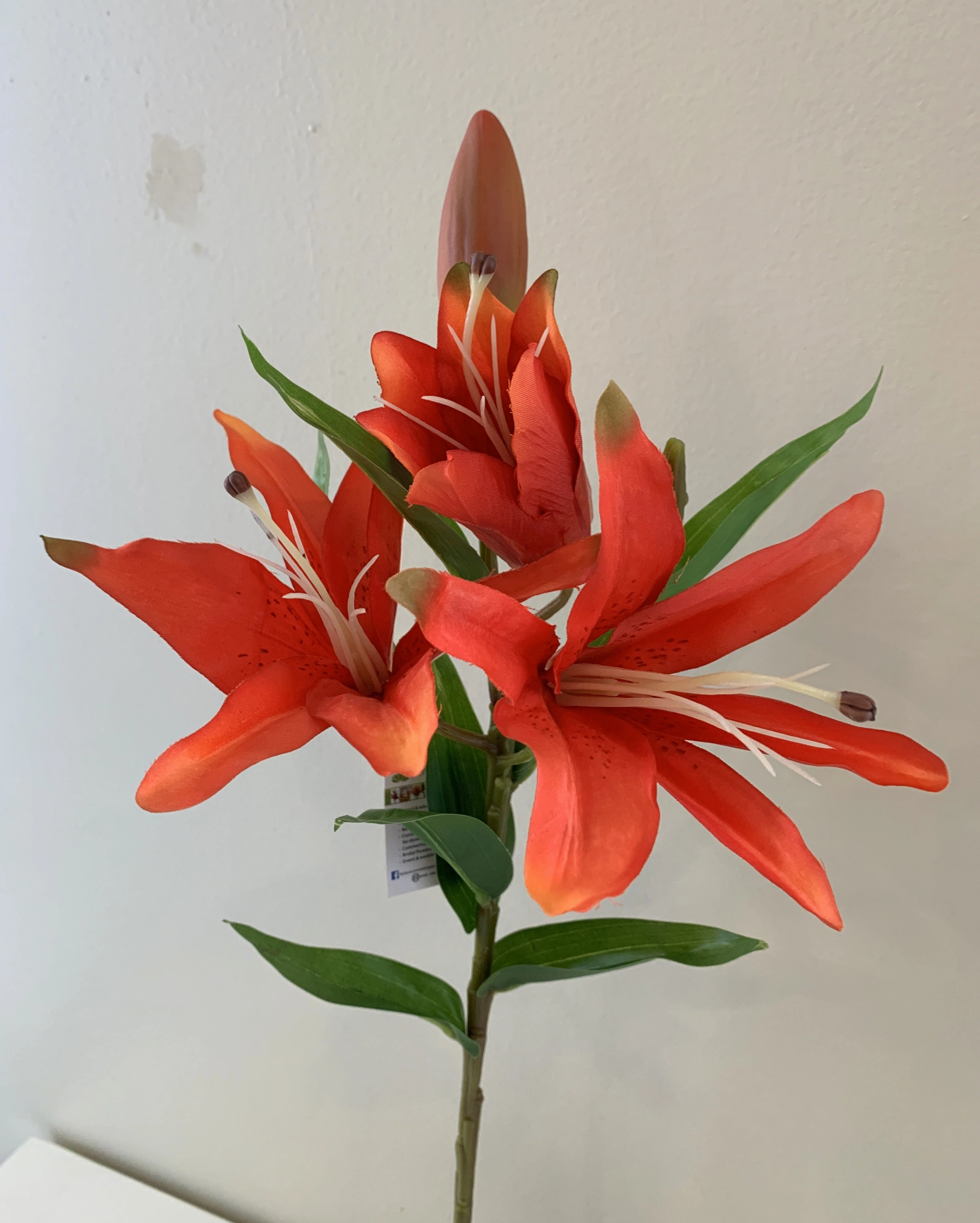 F0091 Oriental Lily Spray 65cm 5 Colours