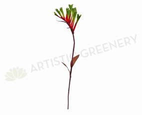 F0104 Kangaroo Paw Spray 65cm Red with Green Tip outdoor greenery  