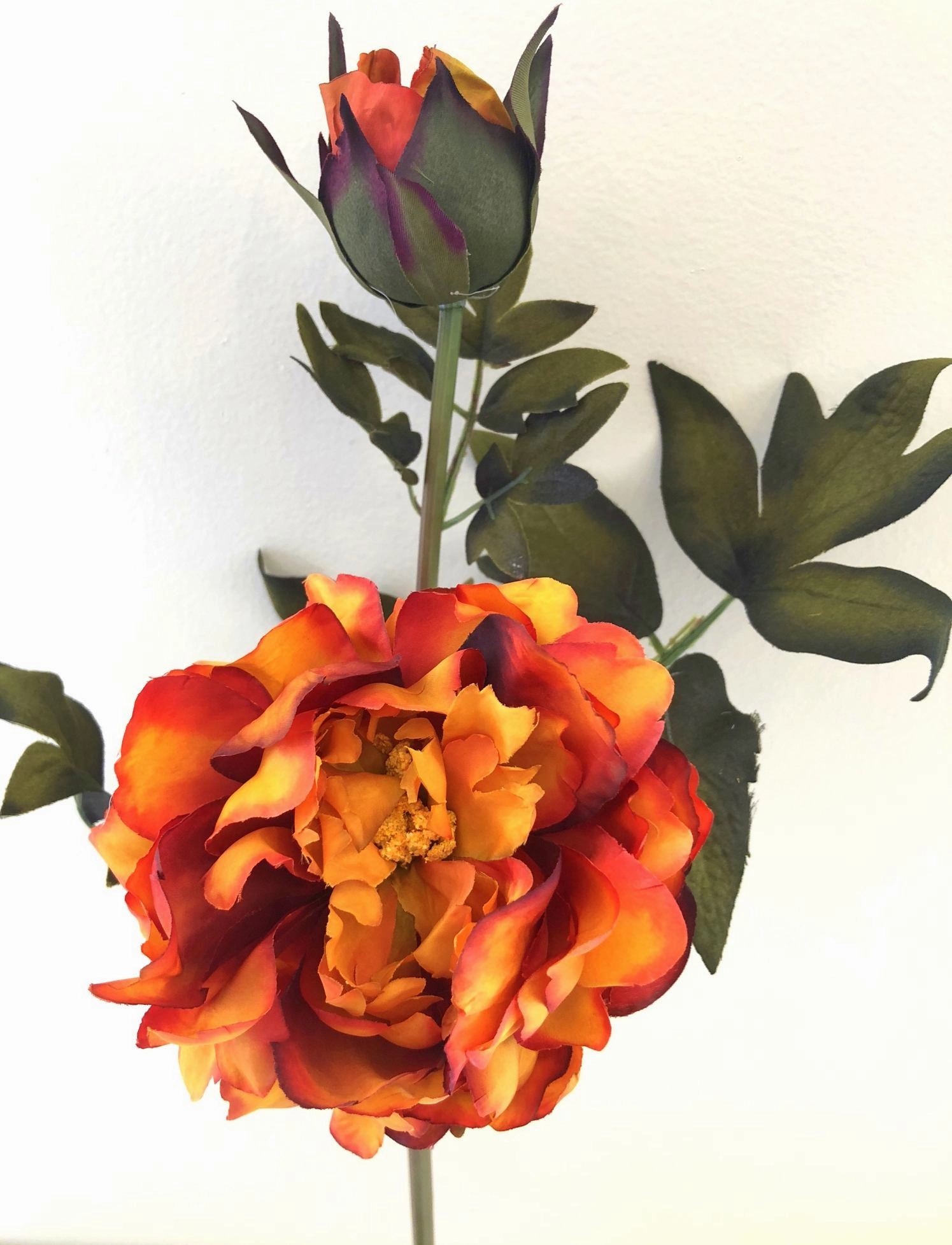 F0106 Peony Spray 54cm Blood Orange